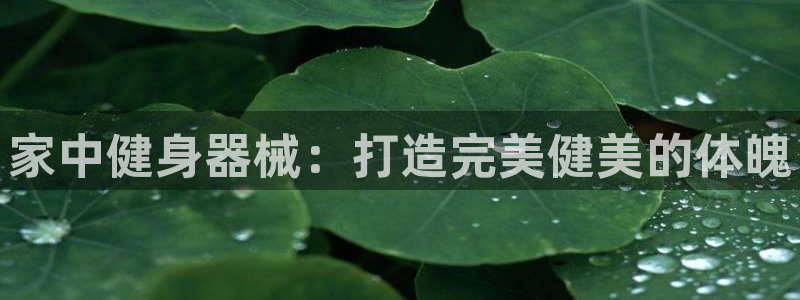尊龙凯时取款24小时不到账