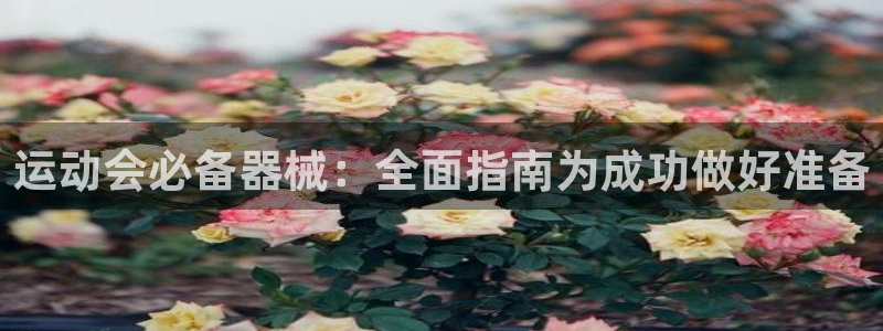 尊龙人生就是博AG旗舰厅