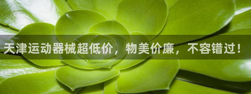 尊龙凯时ag旗舰厅