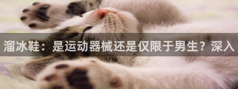 尊龙凯时 人生就是搏!：溜冰鞋：是运动器械还是仅限于