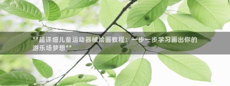 尊龙凯时网站登录：**超详细儿童运动器械绘画教程：一