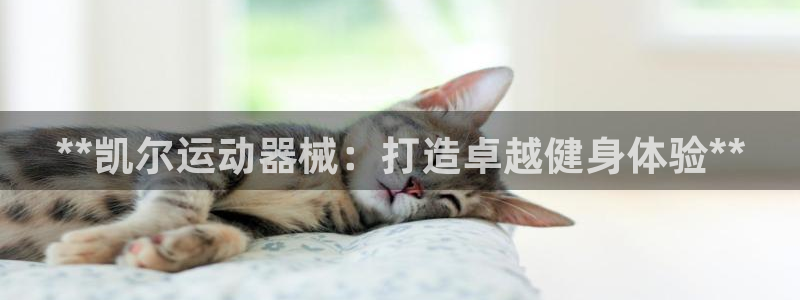 z6尊龙平台是哪里的：**凯尔运动器械：打造卓越健身