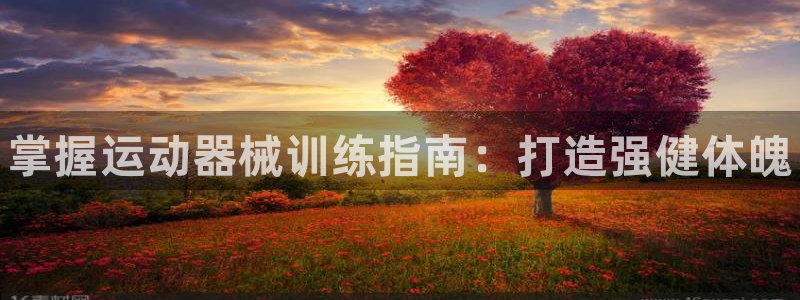 尊龙官方：掌握运动器械训练指南：打造强健体魄