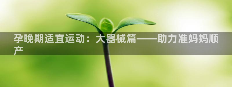 尊龙凯时国际：孕晚期适宜运动：大器械篇——助力准妈妈