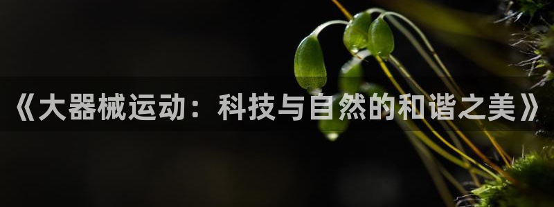 尊龙,人生就是博!登录国际