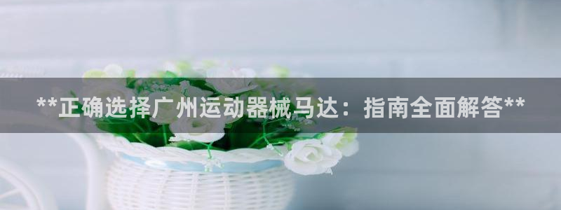 尊龙官网手：**正确选择广州运动器械马达：指南全面解