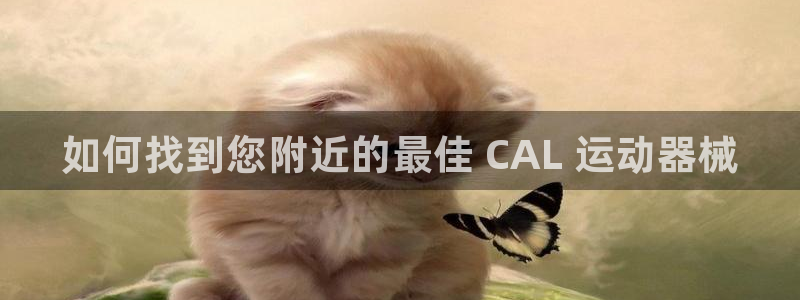 尊龙是什么软件：如何找到您附近的最佳 CAL 运动器械