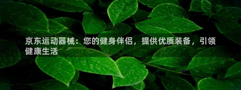 尊龙凯时一人生就是博登入：京东运动器械：您的健身伴侣，提供优