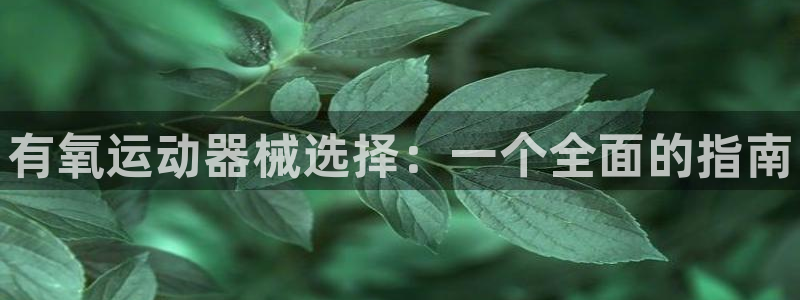 尊龙凯时人生就是搏首页：有氧运动器械选择：一个全面的指南