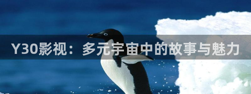 顶楼的大象电影免费观看