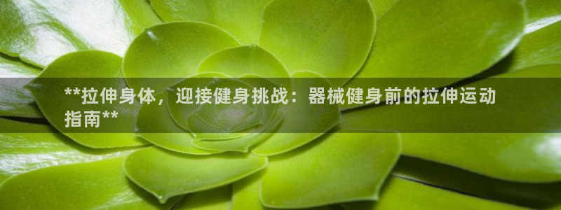 尊龙2020：**拉伸身体，迎接健身挑战：器械健身前