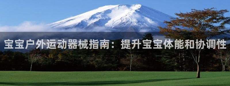 尊龙凯时电竞注册：宝宝户外运动器械指南：提升宝宝体能