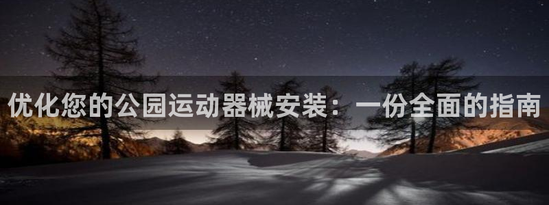 尊龙凯时产品种类：优化您的公园运动器械安装：一份全面