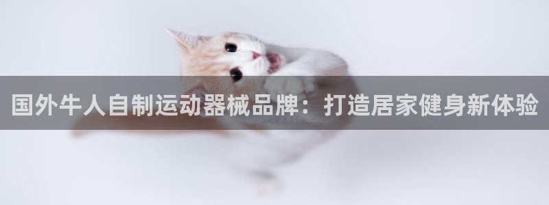 凯时尊龙app国际官方网站：国外牛人自制运动器械品牌