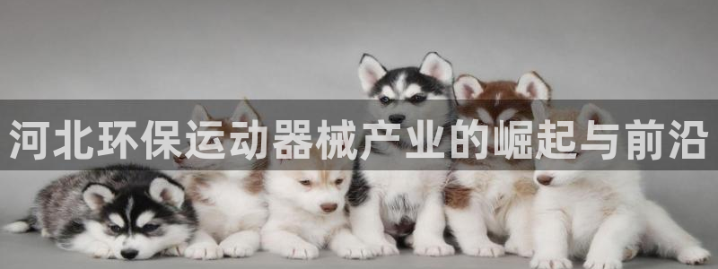 尊龙凯时网站赌愽是真的吗：河北环保运动器械产业的崛起