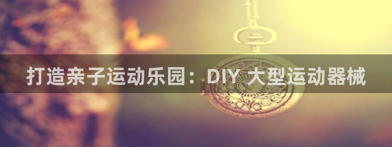 尊龙ag旗舰厅手机版：打造亲子运动乐园：DIY 大型