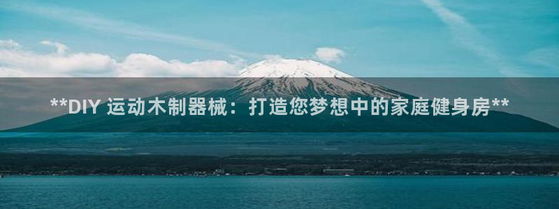 尊龙凯时集团：**DIY 运动木制器械：打造您梦想中