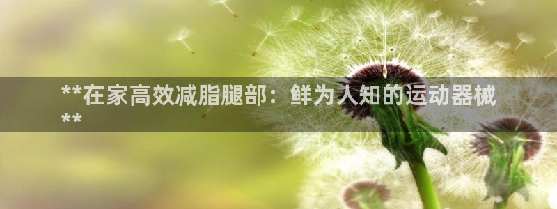 尊龙Ag：**在家高效减脂腿部：鲜为人知的运动器械
