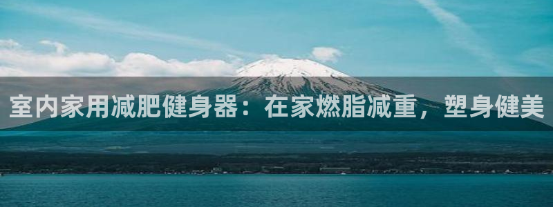 尊龙 ag：室内家用减肥健身器：在家燃脂减重，塑身健