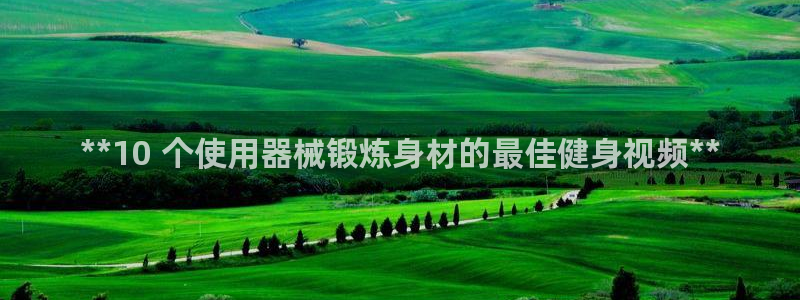 Z6尊龙凯时登录：**10 个使用器械锻炼身材的最佳