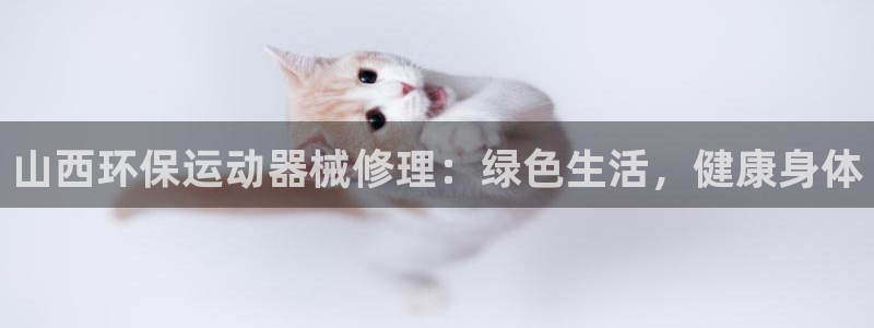 尊龙ag旗舰厅官网官方入口：山西环保运动器械修理：绿