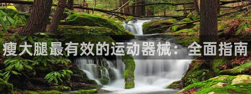 尊龙凯时返现：瘦大腿最有效的运动器械：全面指南