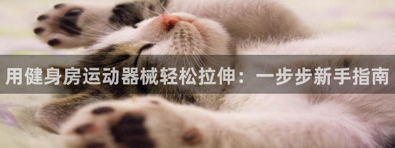 尊龙凯时客服：用健身房运动器械轻松拉伸：一步步新手指