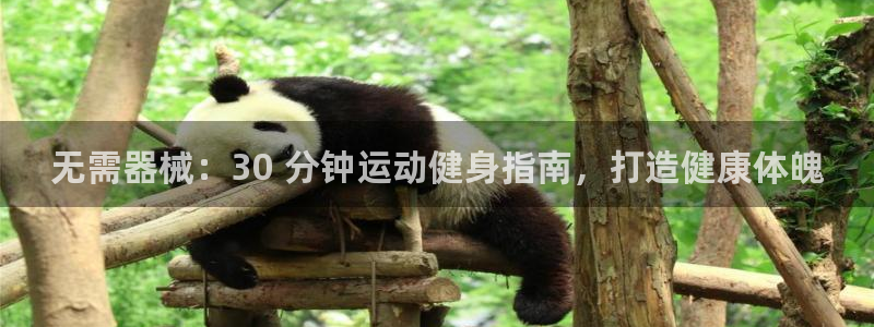 尊龙-人生就是博：无需器械：30 分钟运动健身指南，