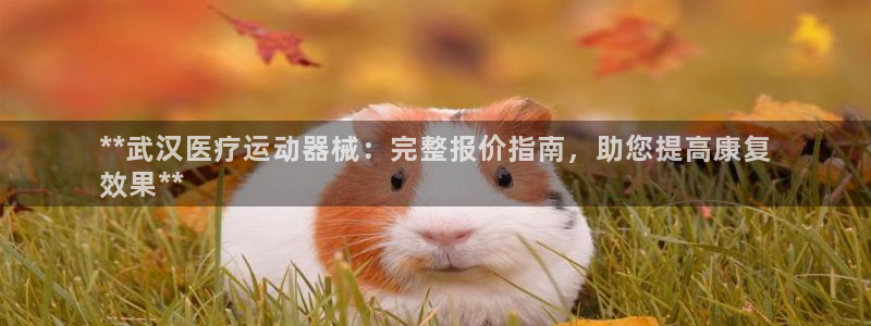 z6尊龙凯时集团：**武汉医疗运动器械：完整报价指南