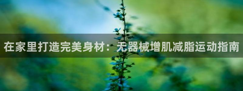 z6尊龙官网：在家里打造完美身材：无器械增肌减脂运动