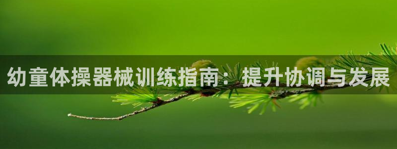 尊龙贴吧：幼童体操器械训练指南：提升协调与发展