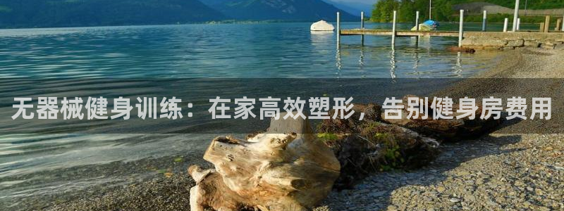 凯时国际官方版：无器械健身训练：在家高效塑形，告别健