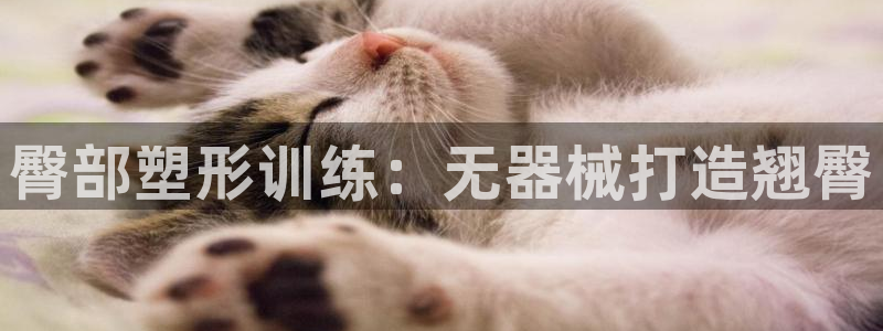 尊龙凯时人生就是搏!平台：臀部塑形训练：无器械打造翘