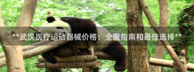 国际凯时ag优质运营商：**武汉医疗运动器械价格：全