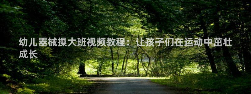 凯时游戏官方网站：幼儿器械操大班视频教程：让孩子们在