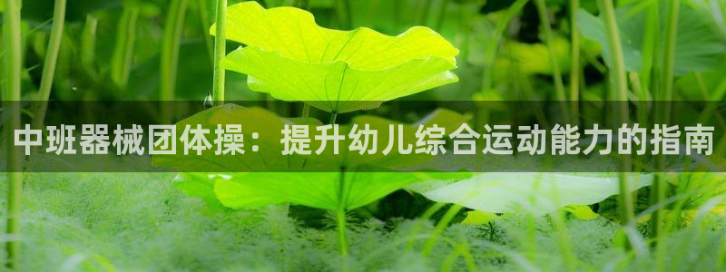 尊龙人生就是博旧版现金娱乐一下：中班器械团体操：提升