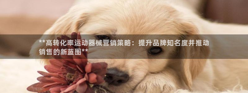 尊龙凯时官方网站：**高转化率运动器械营销策略：提升