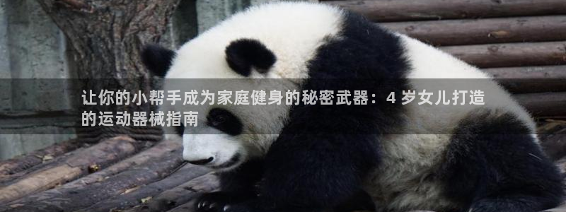 尊龙新版登录网址下载：让你的小帮手成为家庭健身的秘密