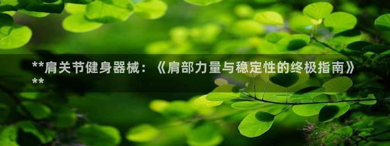 尊龙凯时口碑好吗：**肩关节健身器械：《肩部力量与稳