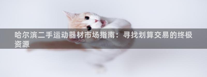 Z6尊龙凯时官方：哈尔滨二手运动器材市场指南：寻找划