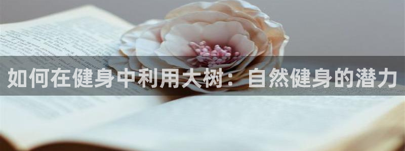 ZL尊龙凯时集团：如何在健身中利用大树：自然健身的潜
