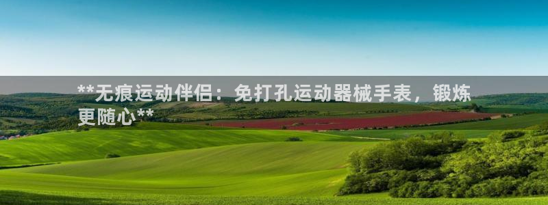 凯时平台登录：**无痕运动伴侣：免打孔运动器械手表，