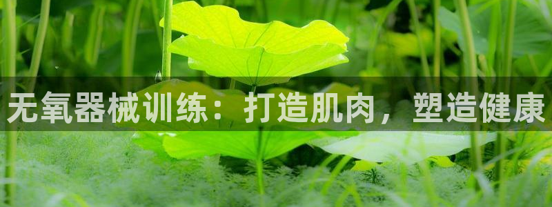 尊龙会：无氧器械训练：打造肌肉，塑造健康