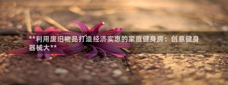 尊龙游戏官网：**利用废旧物品打造经济实惠的家庭健身