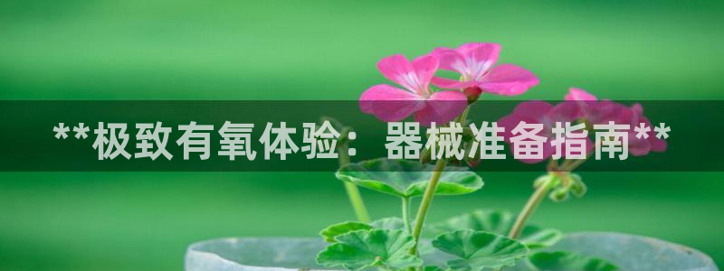 尊龙凯时 人生就是搏 平台：**极致有氧体验：器械准