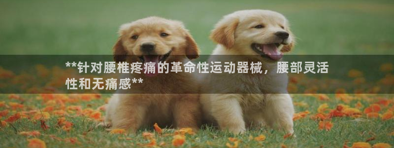 尊龙coming to my own：**针对腰椎疼