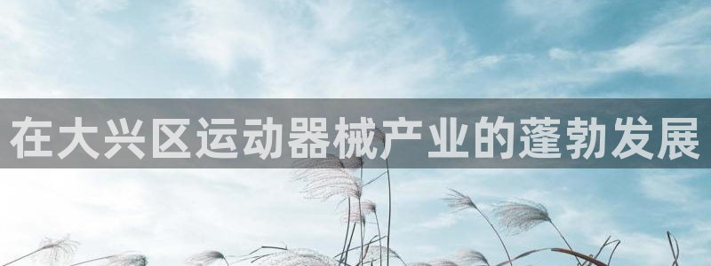 尊龙官方平台是正品吗：在大兴区运动器械产业的蓬勃发展