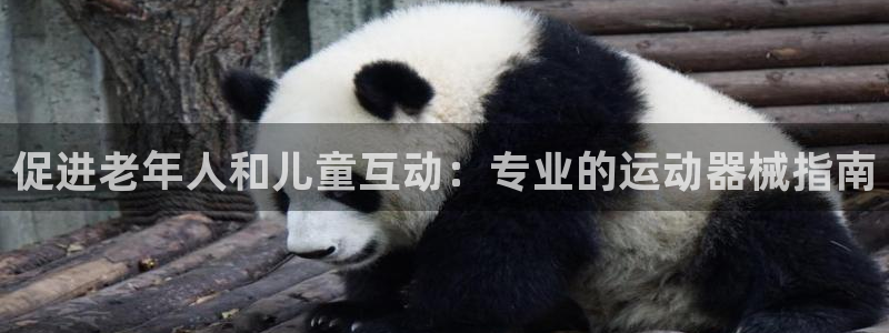 尊龙凯时城游戏官网：促进老年人和儿童互动：专业的运动