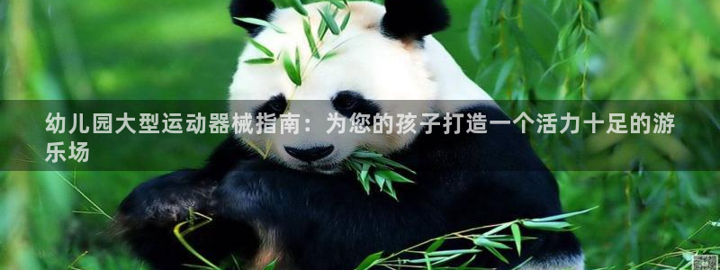 尊龙凯时有限公司：幼儿园大型运动器械指南：为您的孩子
