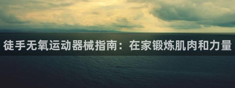 d88尊龙官网手机app：徒手无氧运动器械指南：在家